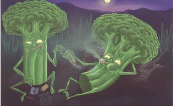 Carte postala - Noper - Broccoli